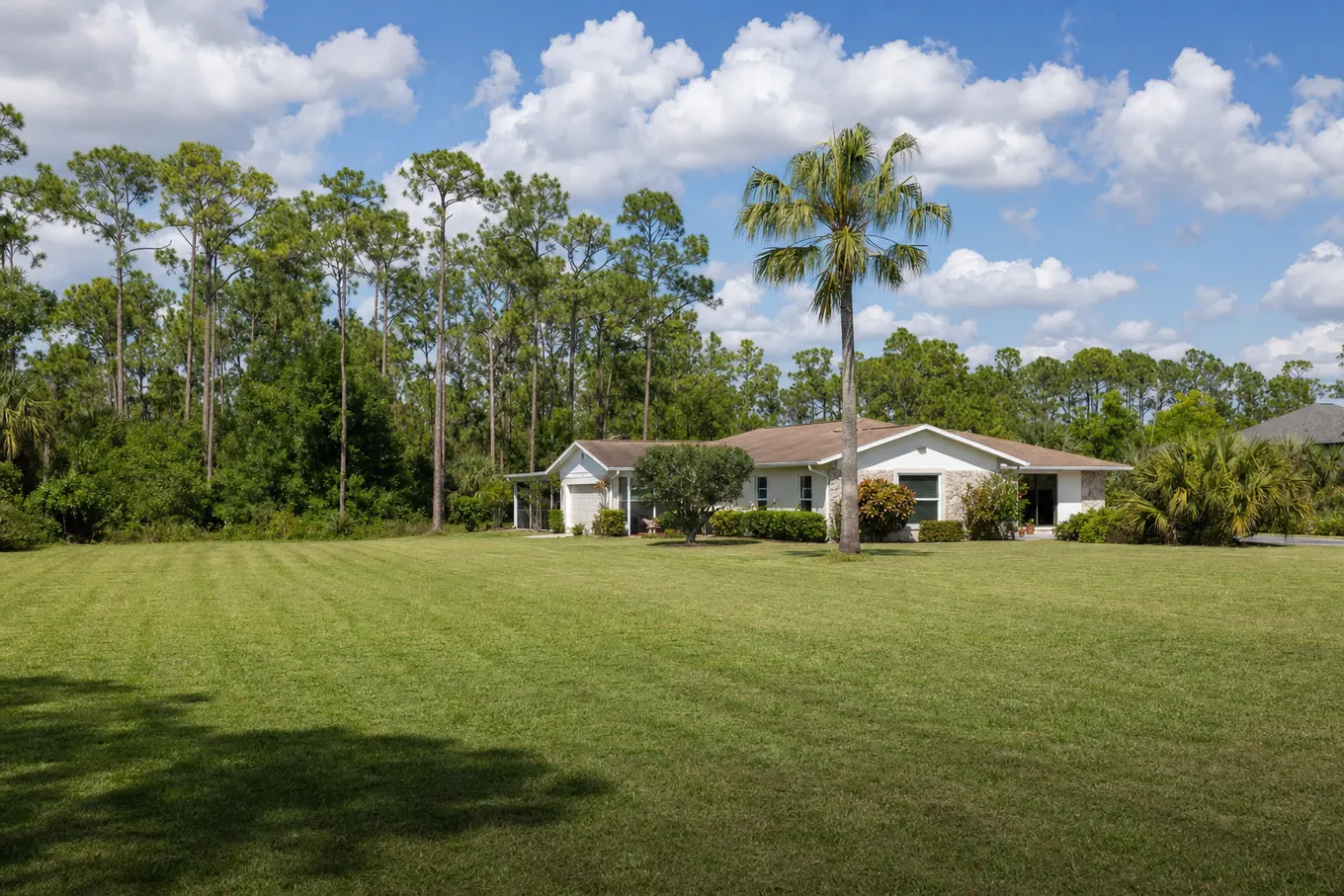 Large quarter-acre Florida yard with freshly cut grass under afternoon clouds
